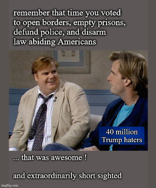 chris farley; that was awesome | image tagged in trump hater votes | made w/ Imgflip meme maker