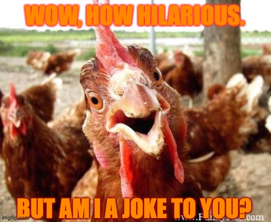 chicken feels insulted. | WOW, HOW HILARIOUS. BUT AM I A JOKE TO YOU? | image tagged in chicken,insult,hilarious,am i a joke to you,why,meme | made w/ Imgflip meme maker