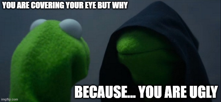 Evil Kermit | YOU ARE COVERING YOUR EYE BUT WHY; BECAUSE... YOU ARE UGLY | image tagged in memes,evil kermit | made w/ Imgflip meme maker