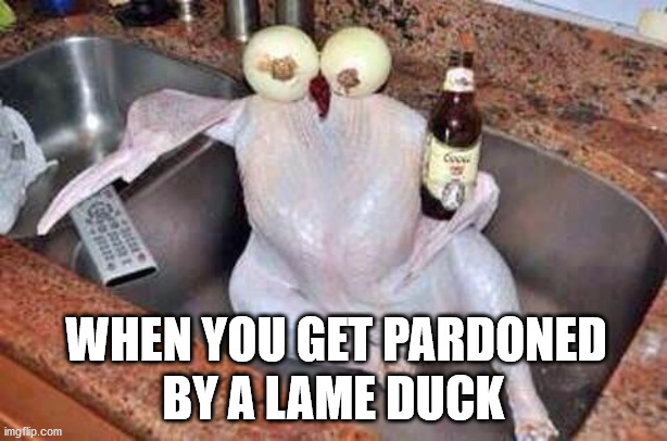Turkey | WHEN YOU GET PARDONED; BY A LAME DUCK | image tagged in turkey | made w/ Imgflip meme maker