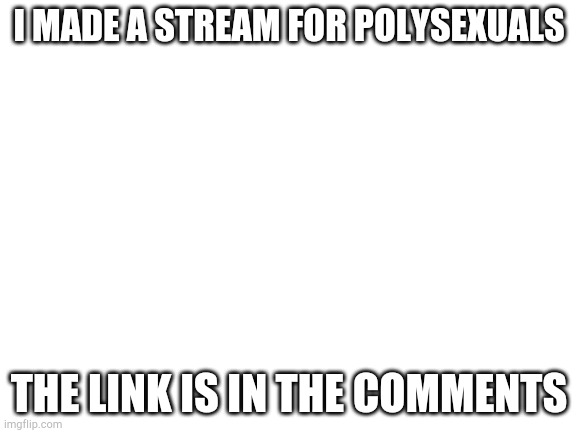 Polysexual stream | I MADE A STREAM FOR POLYSEXUALS; THE LINK IS IN THE COMMENTS | image tagged in blank white template | made w/ Imgflip meme maker