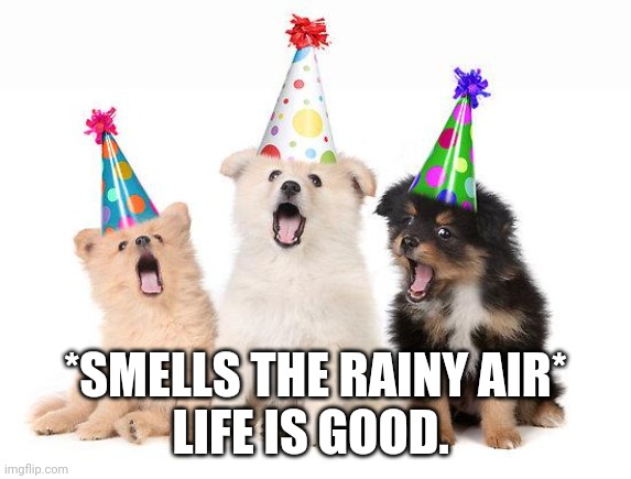 happy birthday puppies | *SMELLS THE RAINY AIR*
LIFE IS GOOD. | image tagged in happy birthday puppies | made w/ Imgflip meme maker