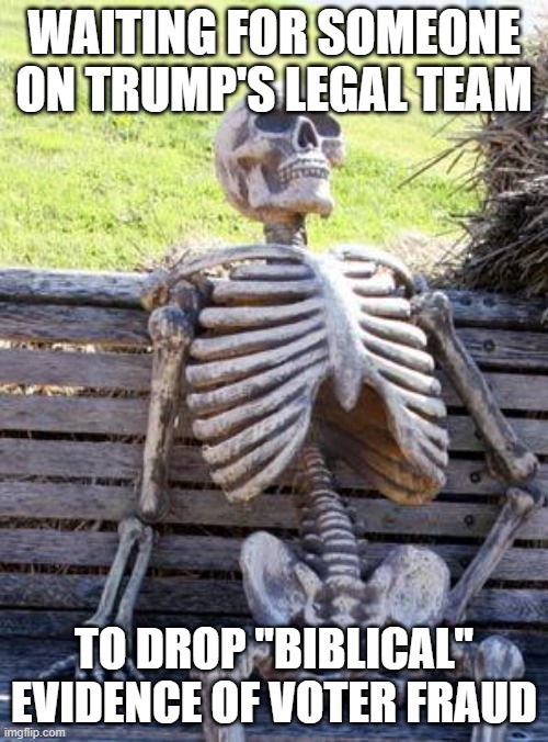 Waiting Skeleton | WAITING FOR SOMEONE ON TRUMP'S LEGAL TEAM; TO DROP "BIBLICAL" EVIDENCE OF VOTER FRAUD | image tagged in memes,waiting skeleton,election 2020,voter fraud | made w/ Imgflip meme maker