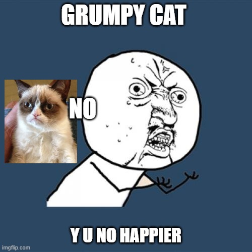 Y U NO with grumpy cat | GRUMPY CAT; NO; Y U NO HAPPIER | image tagged in y u no,grumpy cat | made w/ Imgflip meme maker