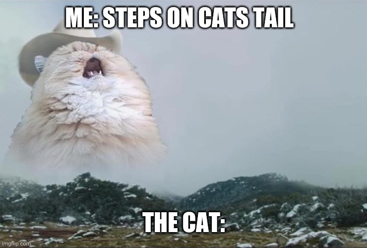 Cat. Screening | ME: STEPS ON CATS TAIL; THE CAT: | image tagged in screaming cowboy cat | made w/ Imgflip meme maker