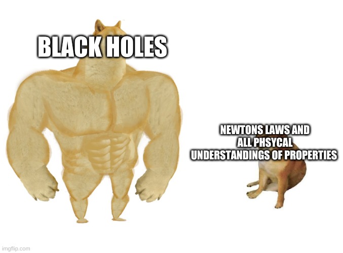 sadd | BLACK HOLES; NEWTONS LAWS AND ALL PHYSICAL UNDERSTANDINGS OF PROPERTIES | image tagged in big dog small dog | made w/ Imgflip meme maker