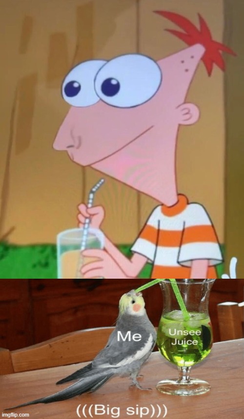 eewww!!! | image tagged in phineas and ferb,unsee juice | made w/ Imgflip meme maker