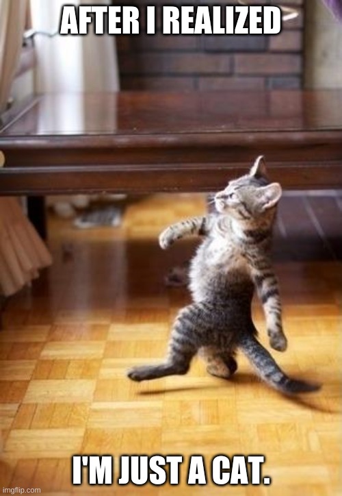Cool Cat Stroll | AFTER I REALIZED; I'M JUST A CAT. | image tagged in memes,cool cat stroll | made w/ Imgflip meme maker