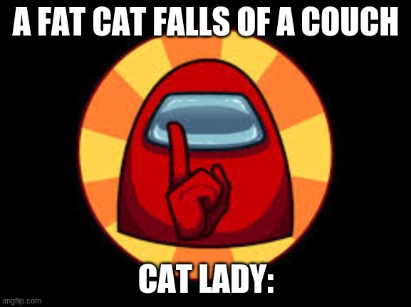 be quiet | A FAT CAT FALLS OF A COUCH; CAT LADY: | image tagged in shhhhh | made w/ Imgflip meme maker
