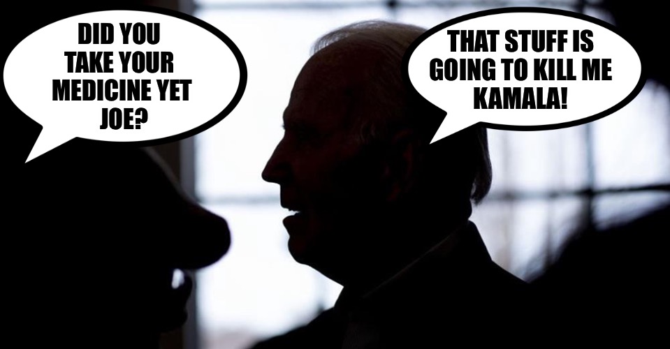 ...and Biden didn’t kill himself! | DID YOU 
TAKE YOUR 
MEDICINE YET
 JOE? THAT STUFF IS
GOING TO KILL ME
KAMALA! | image tagged in biden silhouette,kamala harris | made w/ Imgflip meme maker