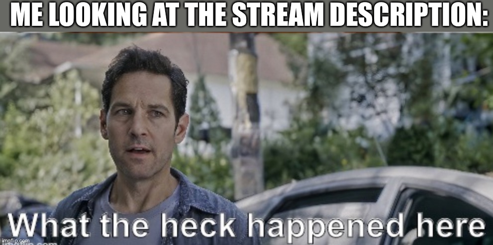 LOL it’s so funny tho | ME LOOKING AT THE STREAM DESCRIPTION: | image tagged in antman what the heck happened here,memes,funny,imgflip,streams | made w/ Imgflip meme maker
