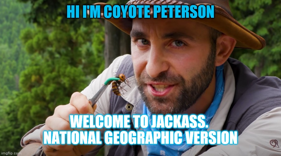 Coyote Peterson | HI I'M COYOTE PETERSON; WELCOME TO JACKASS. 
NATIONAL GEOGRAPHIC VERSION | image tagged in national geographic,coyote,jackass | made w/ Imgflip meme maker