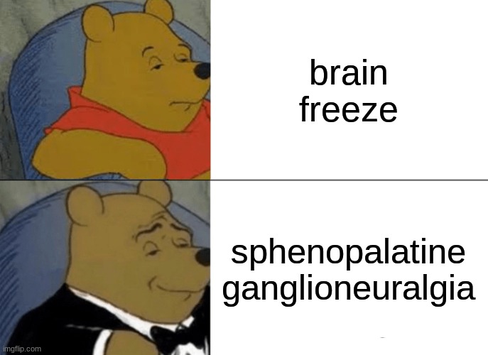 sphenopalatine ganglioneuralgia | brain freeze; sphenopalatine ganglioneuralgia | image tagged in memes,tuxedo winnie the pooh | made w/ Imgflip meme maker