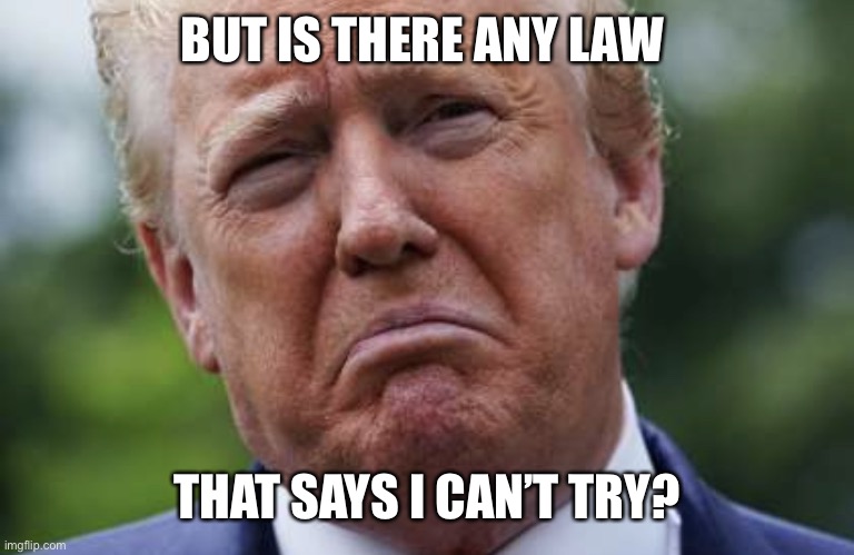 Sad Donnie | BUT IS THERE ANY LAW THAT SAYS I CAN’T TRY? | image tagged in sad donnie | made w/ Imgflip meme maker