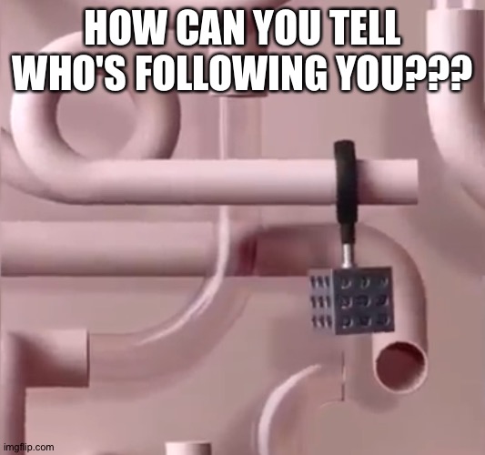 When in doubt look up memes | HOW CAN YOU TELL WHO'S FOLLOWING YOU??? | image tagged in when in doubt look up memes | made w/ Imgflip meme maker