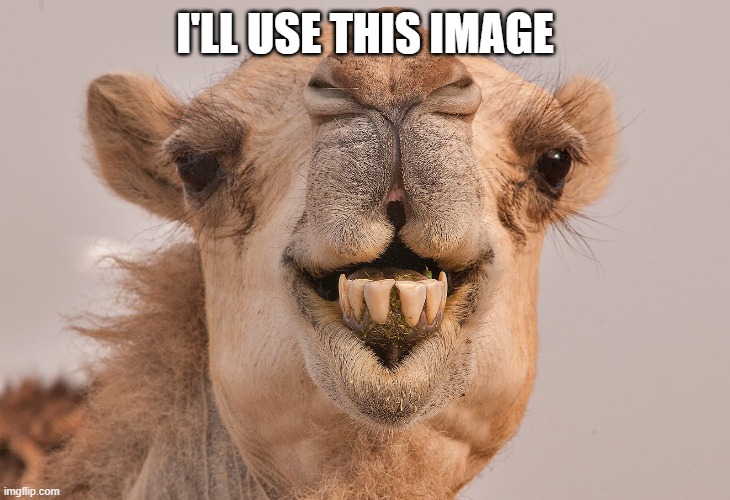 I'LL USE THIS IMAGE | made w/ Imgflip meme maker