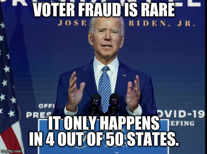 Voter Fraud is Rare | VOTER FRAUD IS RARE; IT ONLY HAPPENS IN 4 OUT OF 50 STATES. | image tagged in voter fraud,election 2020,biden,trump | made w/ Imgflip meme maker