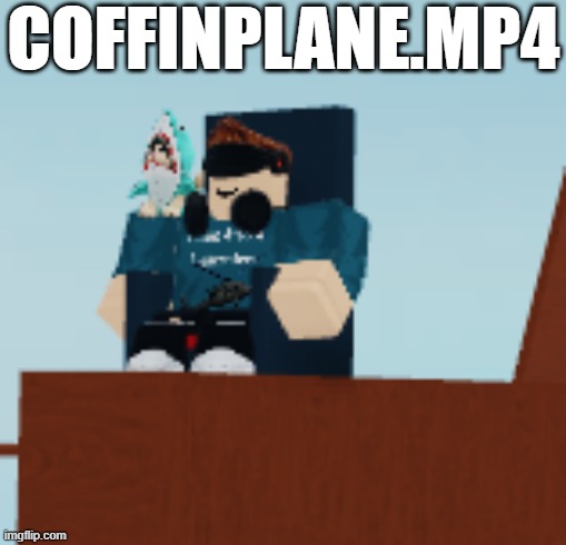 Title For Random Video, Video Link In Comments. | COFFINPLANE.MP4 | image tagged in coffin,plane,mp4 | made w/ Imgflip meme maker