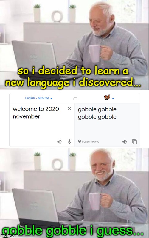 so i decided to learn a new language i discovered... gobble gobble i guess... | image tagged in gotanypain,hide the pain harold | made w/ Imgflip meme maker