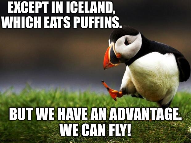 Unpopular Opinion Puffin | EXCEPT IN ICELAND,
WHICH EATS PUFFINS. BUT WE HAVE AN ADVANTAGE.
WE CAN FLY! | image tagged in unpopular opinion puffin | made w/ Imgflip meme maker