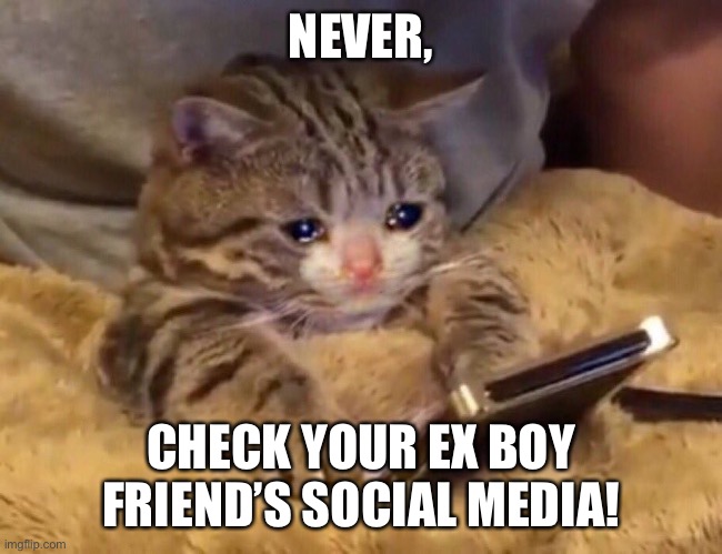 Sad Cat on Phone | NEVER, CHECK YOUR EX BOY FRIEND’S SOCIAL MEDIA! | image tagged in sad cat on phone | made w/ Imgflip meme maker