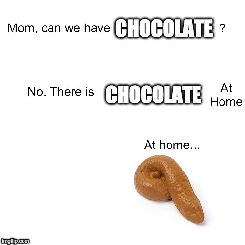 True x2 | CHOCOLATE; CHOCOLATE | image tagged in mom ca we have | made w/ Imgflip meme maker