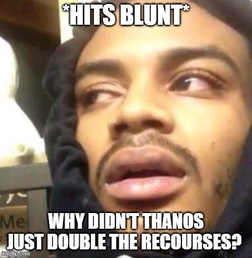 Hits Blunt | *HITS BLUNT*; WHY DIDN'T THANOS JUST DOUBLE THE RECOURSES? | image tagged in hits blunt | made w/ Imgflip meme maker
