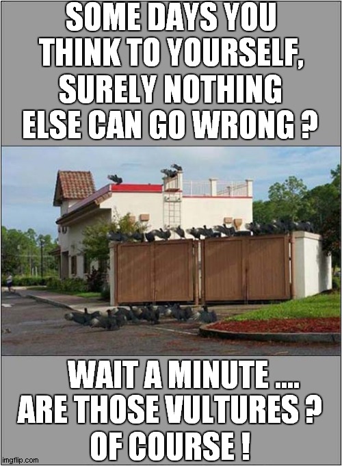 There May Be Trouble Ahead ! | SOME DAYS YOU THINK TO YOURSELF, SURELY NOTHING ELSE CAN GO WRONG ? WAIT A MINUTE .... ARE THOSE VULTURES ? OF COURSE ! | image tagged in pessimist,suspicious | made w/ Imgflip meme maker