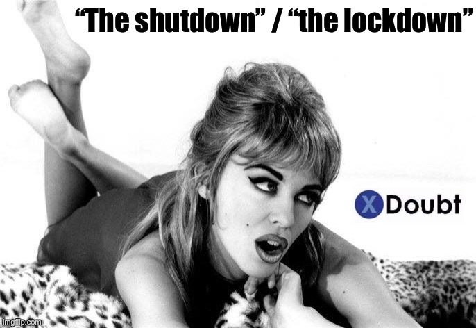 Are we even in a “lockdown” currently? Not really chief | “The shutdown” / “the lockdown” | image tagged in kylie x doubt 9,lockdown,social distancing,covid-19,coronavirus,pandemic | made w/ Imgflip meme maker