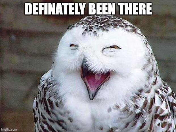 owl happy | DEFINATELY BEEN THERE | image tagged in owl happy | made w/ Imgflip meme maker