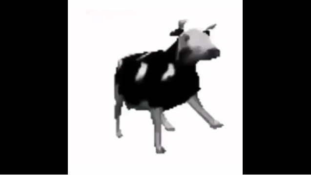 Cow dancing polish Blank Meme Template