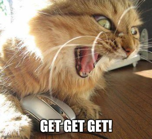 angry cat | GET GET GET! | image tagged in angry cat | made w/ Imgflip meme maker