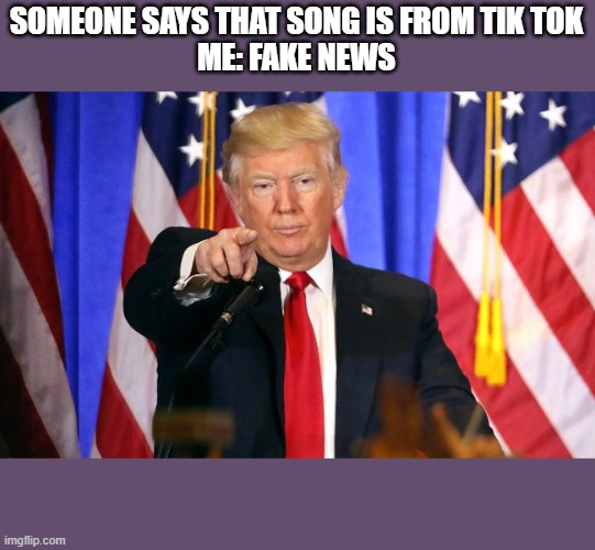 Fake News! | SOMEONE SAYS THAT SONG IS FROM TIK TOK
ME: FAKE NEWS | image tagged in trump fake news | made w/ Imgflip meme maker