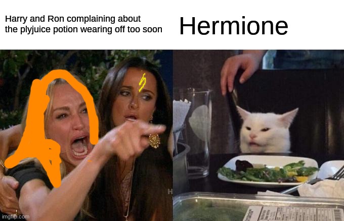 Woman Yelling At Cat | Harry and Ron complaining about the plyjuice potion wearing off too soon; Hermione | image tagged in memes,woman yelling at cat | made w/ Imgflip meme maker