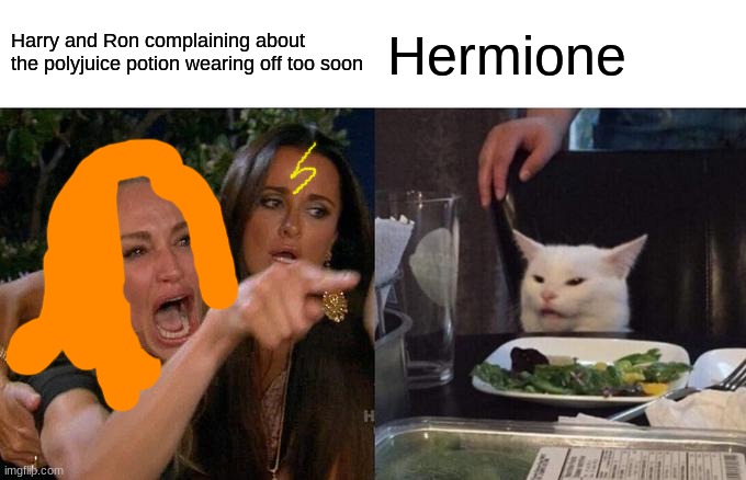 Woman Yelling At Cat Meme | Harry and Ron complaining about the polyjuice potion wearing off too soon; Hermione | image tagged in memes,woman yelling at cat | made w/ Imgflip meme maker