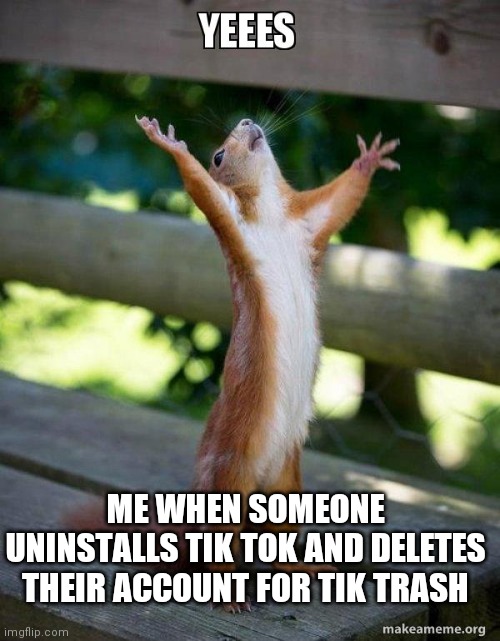Me when someone deletes tik tok |  ME WHEN SOMEONE UNINSTALLS TIK TOK AND DELETES THEIR ACCOUNT FOR TIK TRASH | image tagged in happy squirrel,tik tok sucks | made w/ Imgflip meme maker
