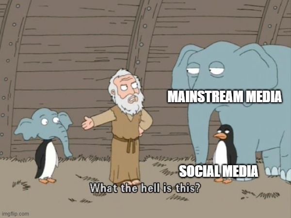 What the hell is this? | MAINSTREAM MEDIA; SOCIAL MEDIA | image tagged in what the hell is this | made w/ Imgflip meme maker