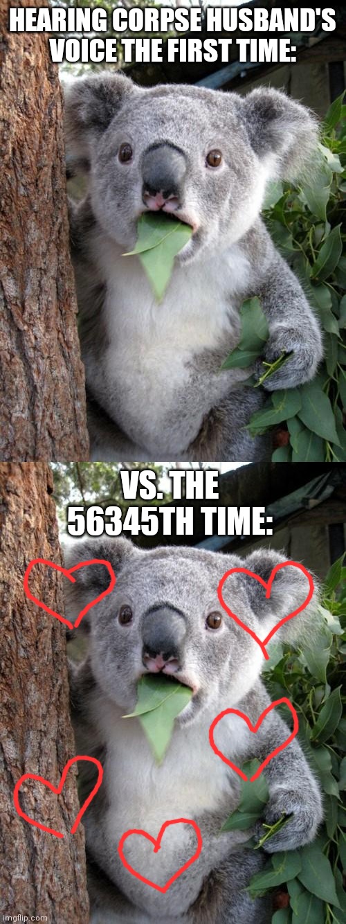 HEARING CORPSE HUSBAND'S VOICE THE FIRST TIME:; VS. THE 56345TH TIME: | image tagged in memes,surprised koala,gaming | made w/ Imgflip meme maker