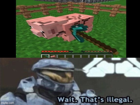 Mojang broke the pigs again! | image tagged in minecraft,cursed image,wait thats illegal | made w/ Imgflip meme maker