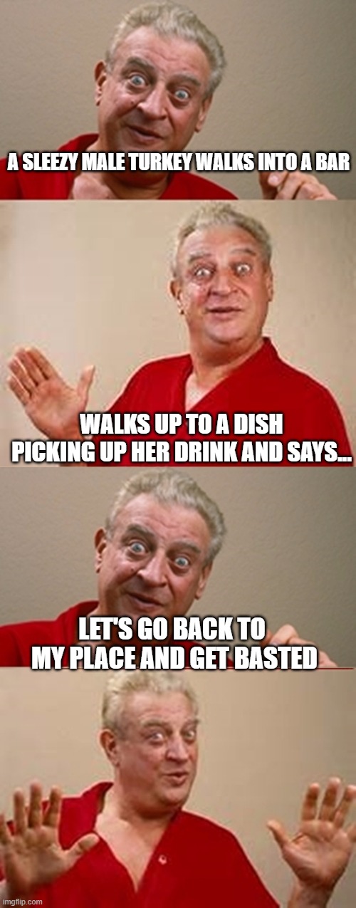 Bad Pun Rodney Dangerfield | A SLEEZY MALE TURKEY WALKS INTO A BAR; WALKS UP TO A DISH PICKING UP HER DRINK AND SAYS... LET'S GO BACK TO  MY PLACE AND GET BASTED | image tagged in bad pun rodney dangerfield | made w/ Imgflip meme maker