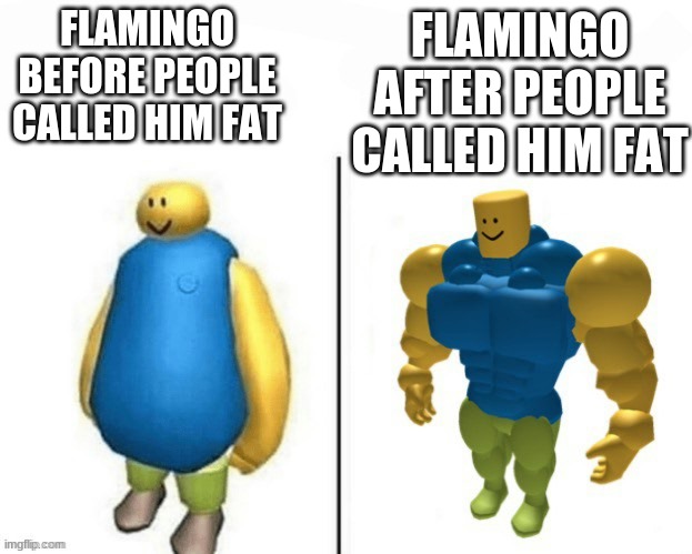 Roblox noob | FLAMINGO AFTER PEOPLE CALLED HIM FAT; FLAMINGO BEFORE PEOPLE CALLED HIM FAT | image tagged in roblox noob | made w/ Imgflip meme maker