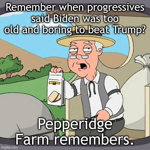 Pepperidge Farm Remembers Meme | Remember when progressives said Biden was too old and boring to beat Trump? Pepperidge Farm remembers. | image tagged in memes,pepperidge farm remembers | made w/ Imgflip meme maker