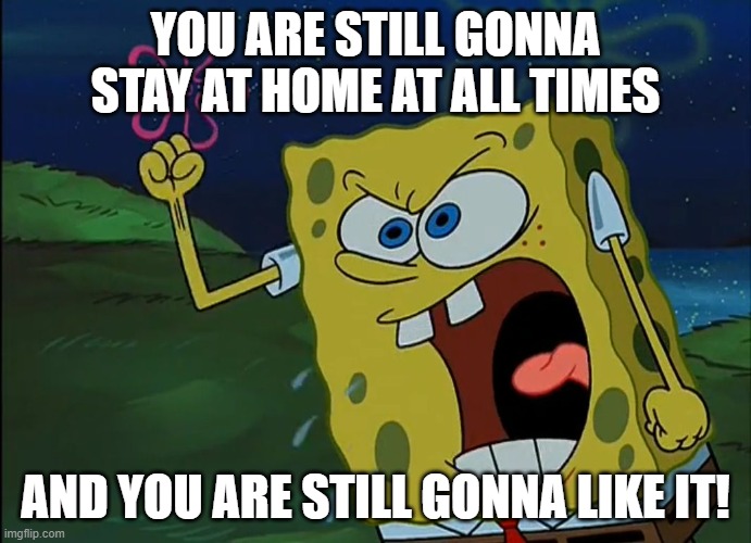 2021 expected to be more of the same | YOU ARE STILL GONNA STAY AT HOME AT ALL TIMES; AND YOU ARE STILL GONNA LIKE IT! | image tagged in you are gonna like it,covid-19,coronavirus,sad,spongebob,dark | made w/ Imgflip meme maker