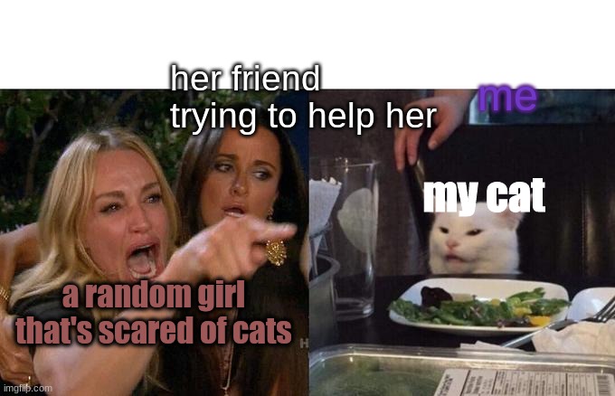 Woman Yelling At Cat Meme | me; her friend trying to help her; my cat; a random girl that's scared of cats | image tagged in memes,woman yelling at cat | made w/ Imgflip meme maker