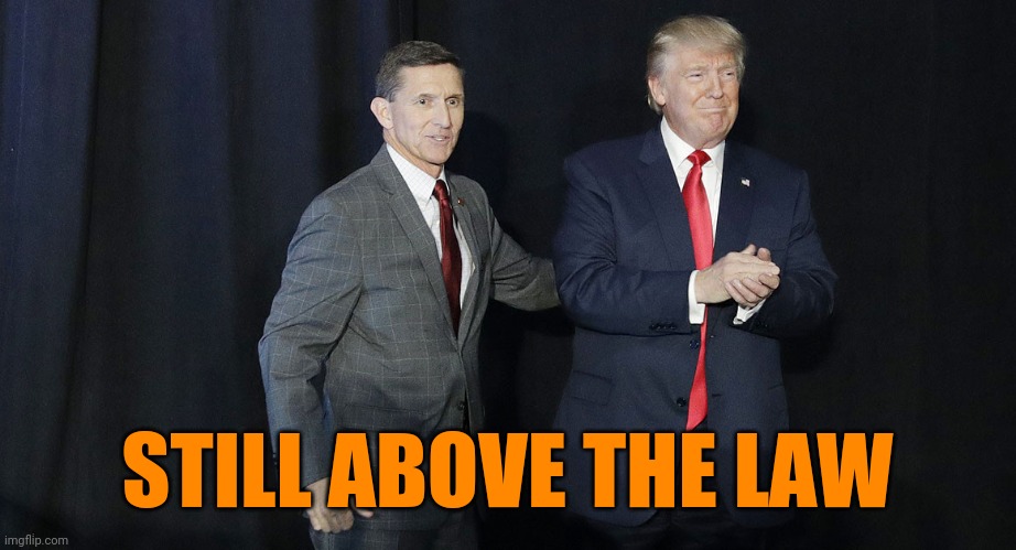 You gonna do something about it, punk? | STILL ABOVE THE LAW | image tagged in michael flynn,pardon me,that's how mafia works,the constitution,donald trump thug life,so what | made w/ Imgflip meme maker