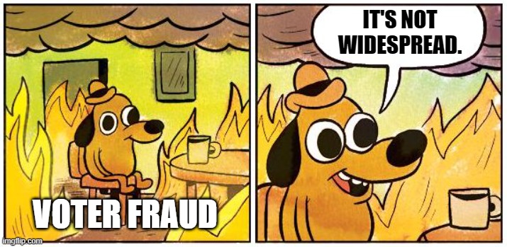 It'll only burn you to death a little bit. | IT'S NOT WIDESPREAD. VOTER FRAUD | image tagged in this is fine blank | made w/ Imgflip meme maker