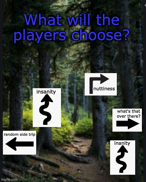 Watching the players in the campaign | What will the players choose? nuttiness; insanity; what's that over there? random side trip; inanity | image tagged in forest of choices,dungeons and dragons,crazy | made w/ Imgflip meme maker