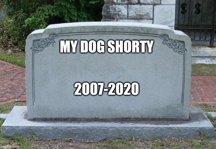 My dog died a while ago, but I thought I could submit it anyway | MY DOG SHORTY; 2007-2020 | image tagged in gravestone | made w/ Imgflip meme maker