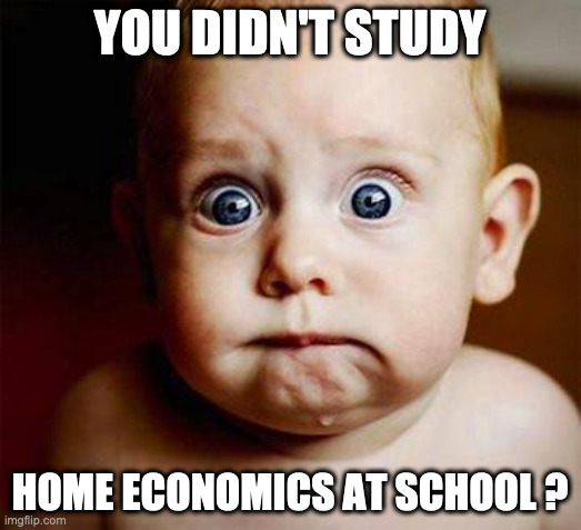 You didn't |  YOU DIDN'T STUDY; HOME ECONOMICS AT SCHOOL ? | image tagged in scared baby | made w/ Imgflip meme maker
