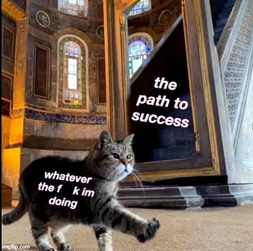 Me being stupid | image tagged in me being stupid | made w/ Imgflip meme maker